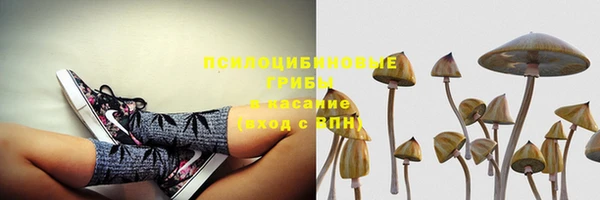 прущий лед Армянск